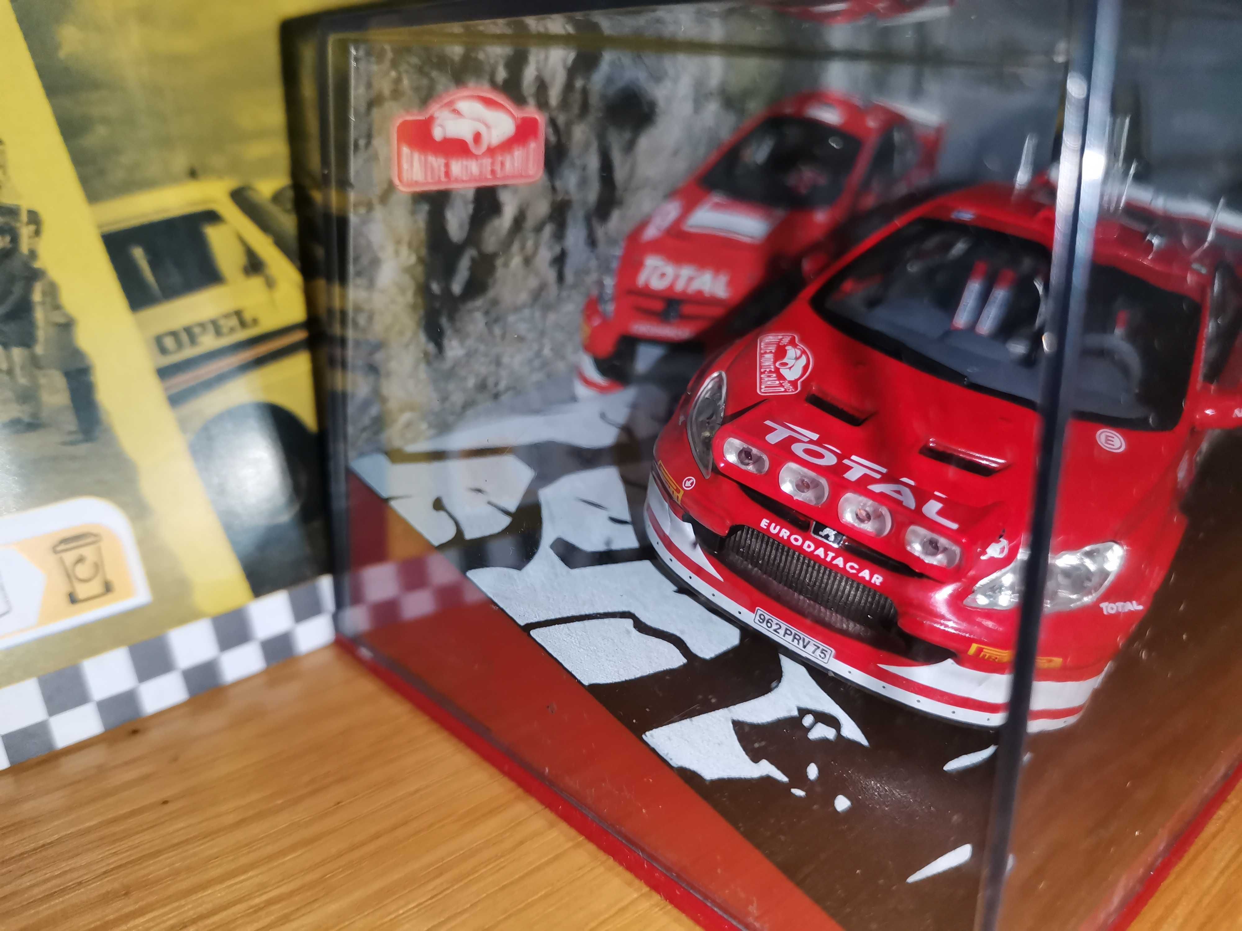 Peugeot 307 WRC Rally Monte Carlo - 1:43