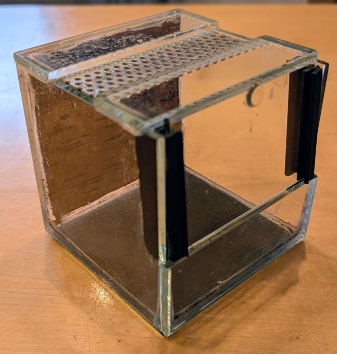 Terrarium 10x10x10cm