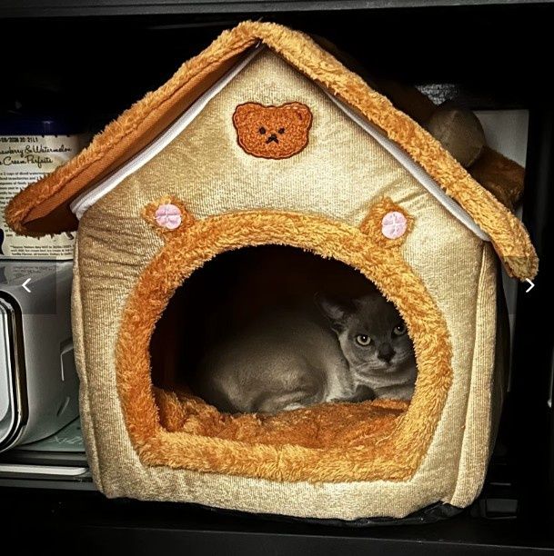 Домик лежак котів собак (тварин животных) будинок