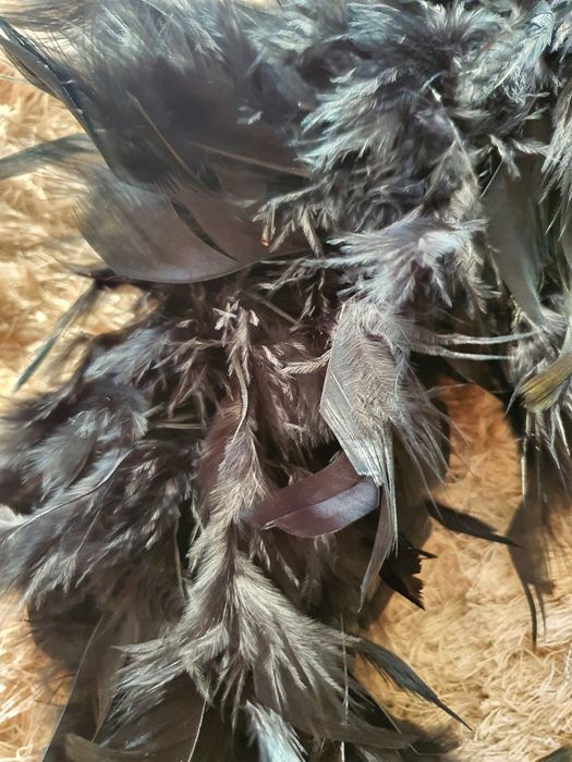 Cachecol de penas preto