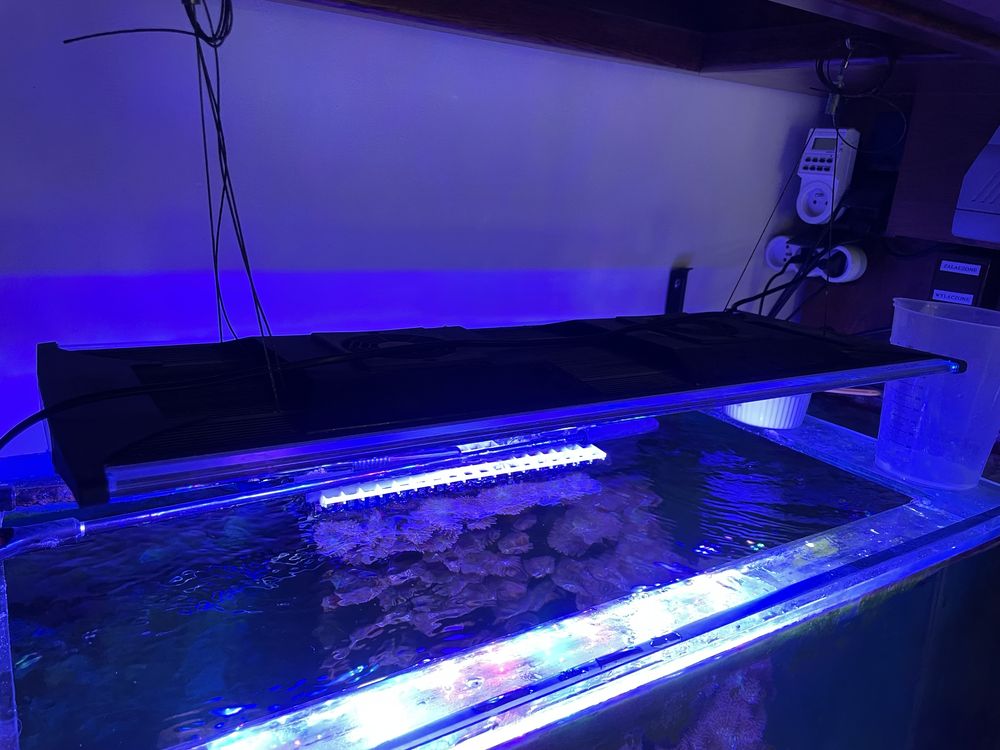 Zetlight QMAVEN ZT6600 - lampa LED do akwarium