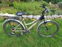 Rower sektor xtrail