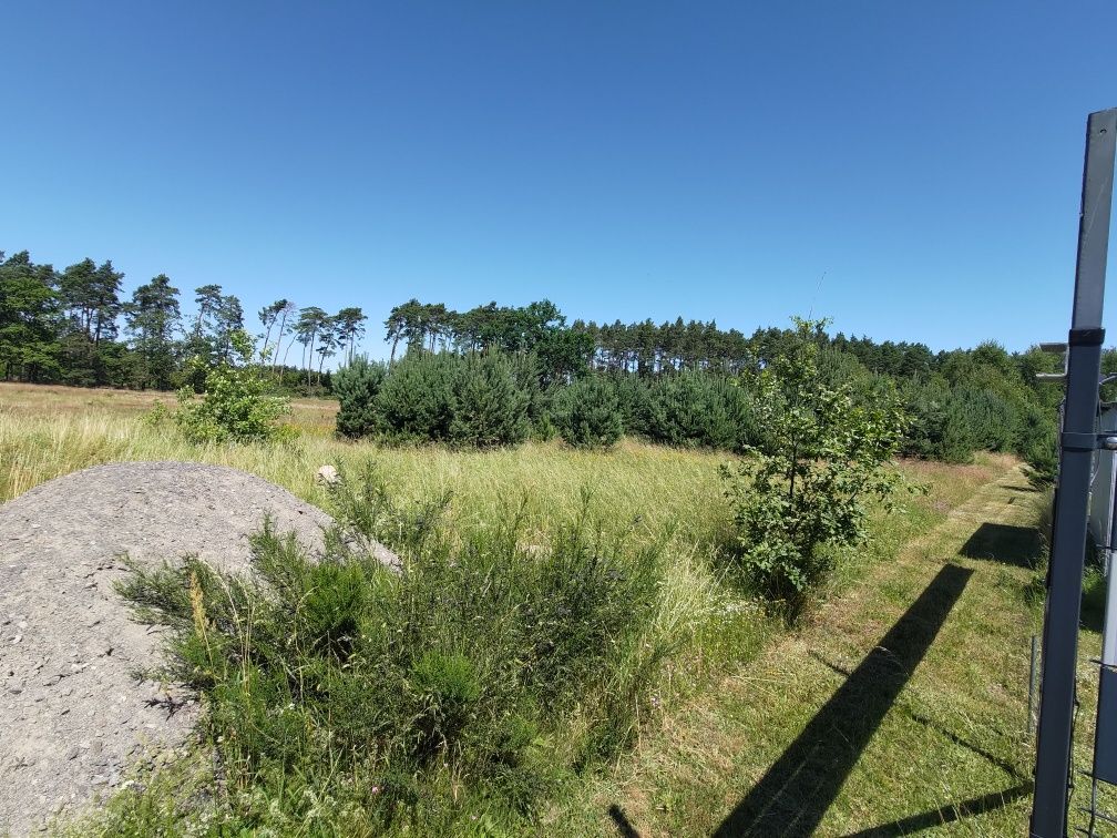 Działka budowlana na skraju lasu - Przemkowski Park Krajobrazowy