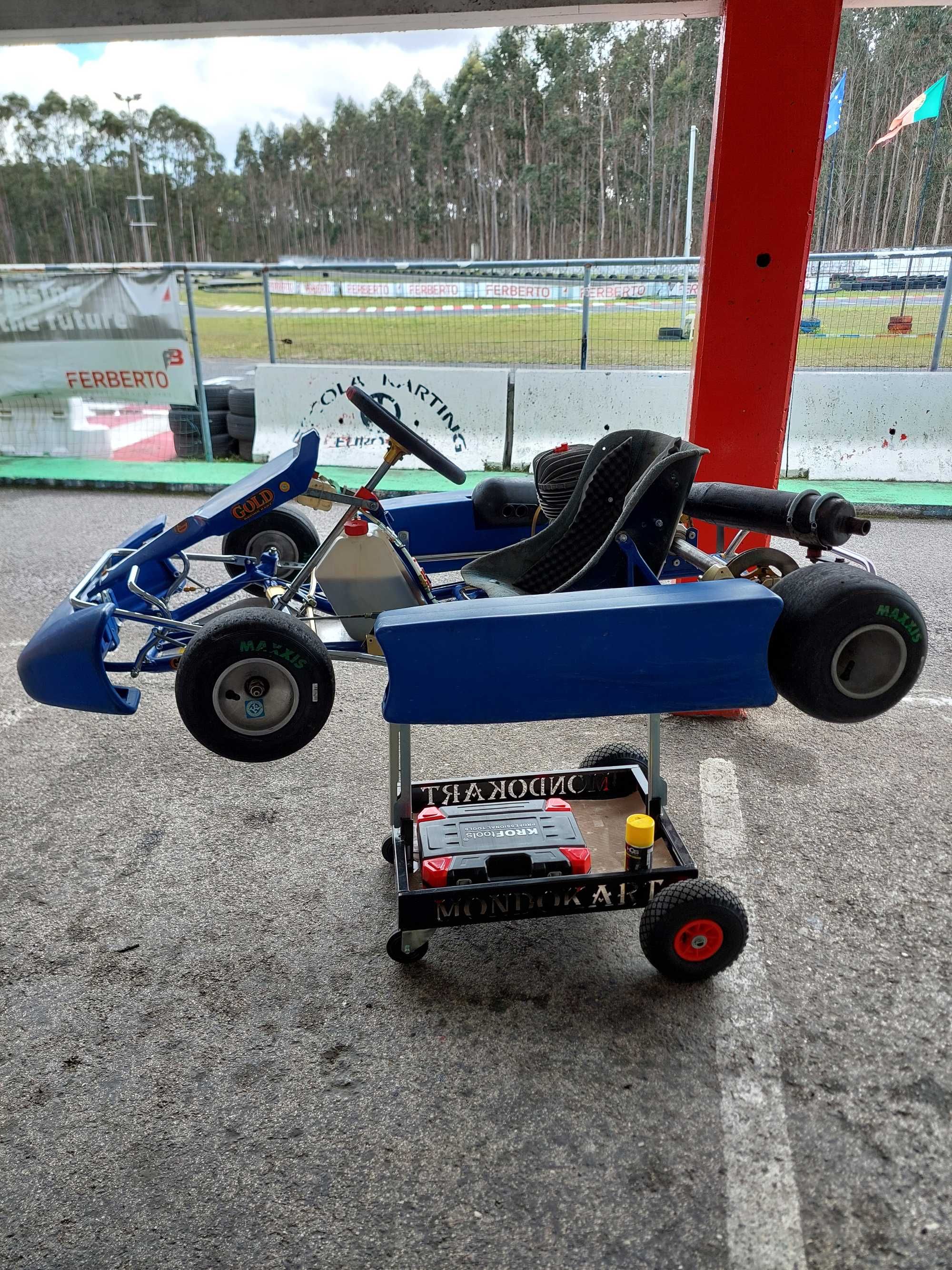 Chassi Kart - Gold Kart