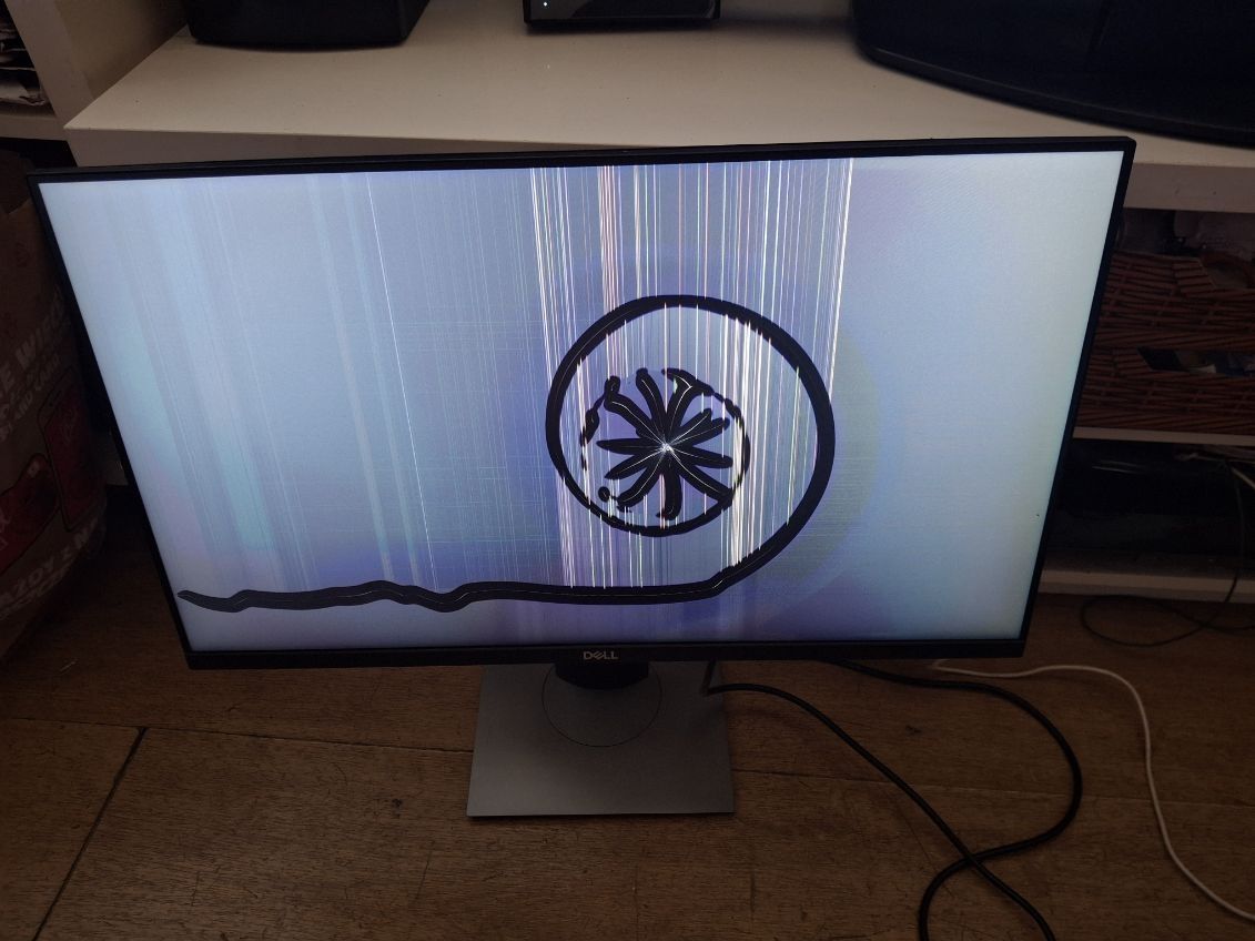 Monitor Dell P2419H