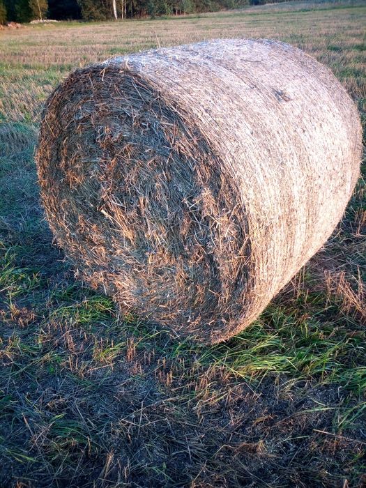 Słoma z pod dachu