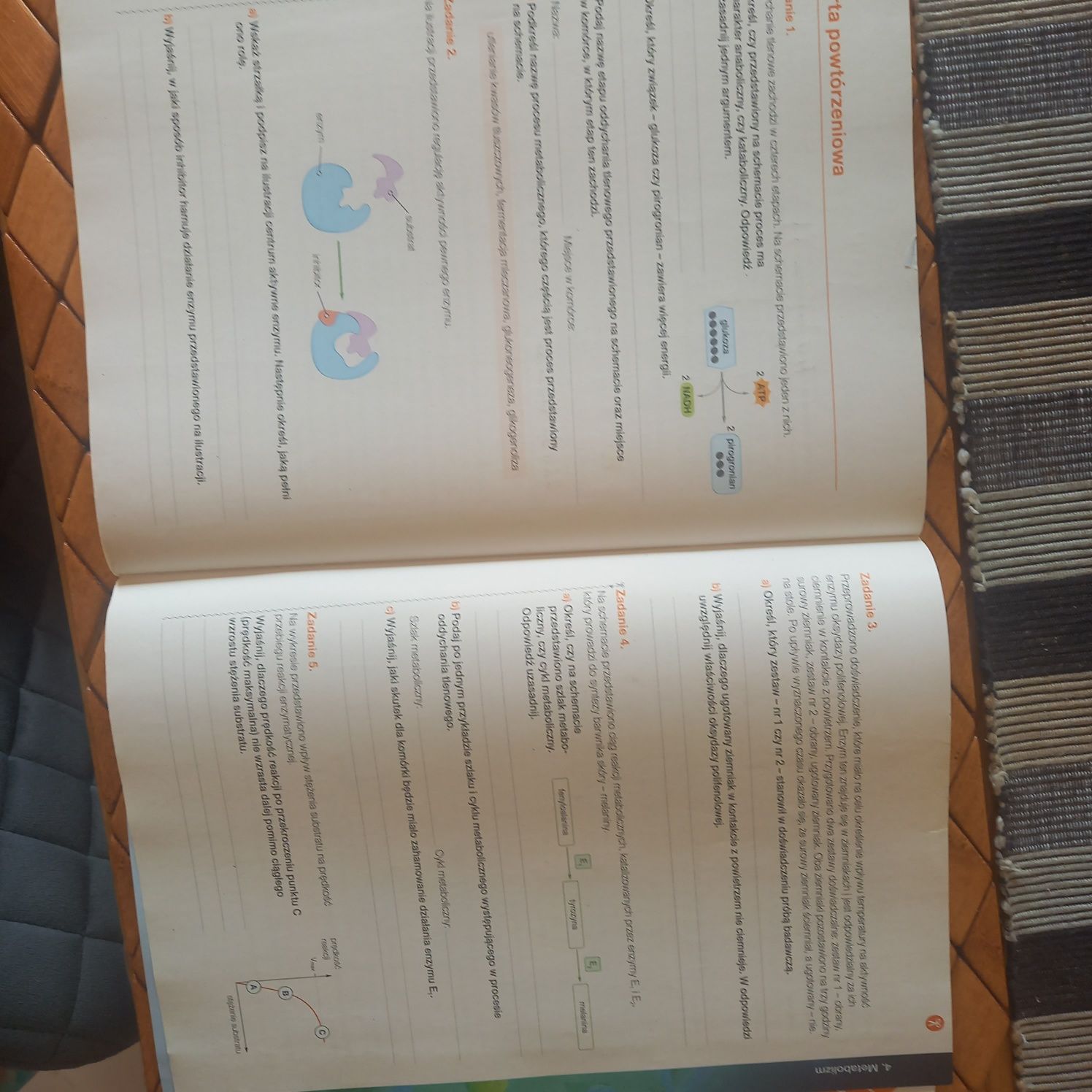 Biologia na czasie karty pracy klasa 1 LO nowa edycja 2024