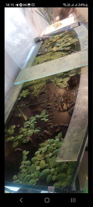 Панорамный акваріум 300 л.