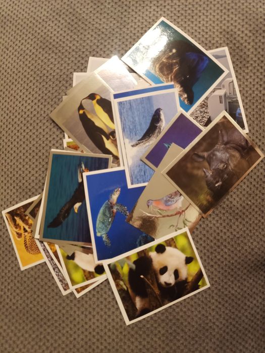 WWF Panini naklejki zwierzęta chronione