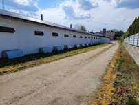Dom 100m2 + hala garaże 900m2, działka 0,58ha  kurnik