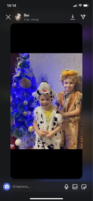 Костюм на прокат,новорічний костюм собачка лев