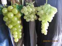 декоративная виноградная гроздь