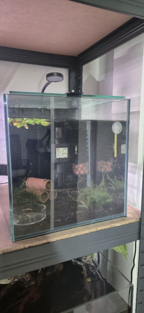 2 aquarios 15L e 22L