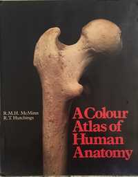 Atlas a cores de anatomia humana