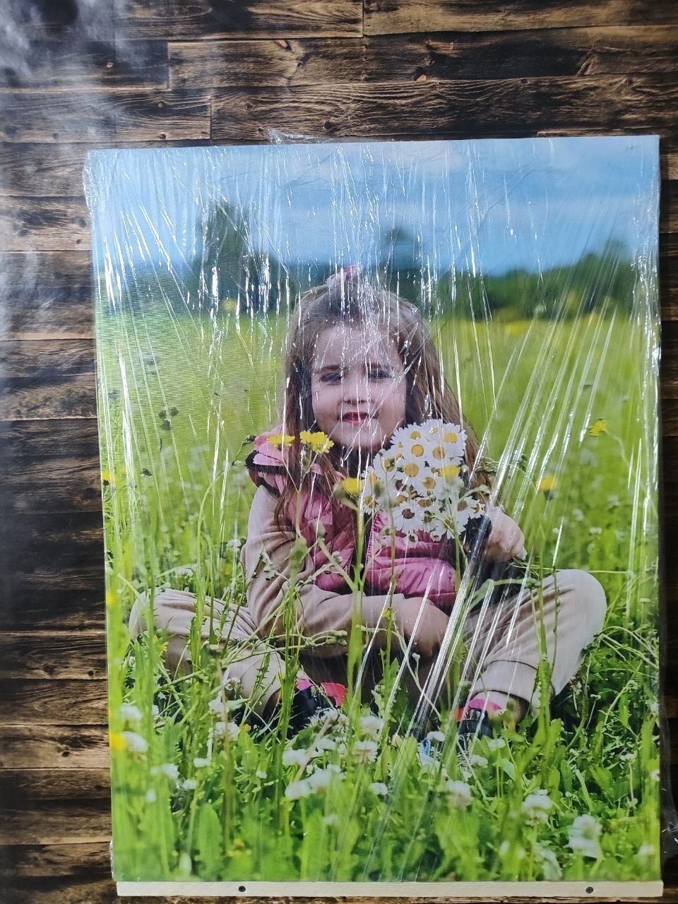 Фото на холсте ( картины на подрамниках, настенные картинки)