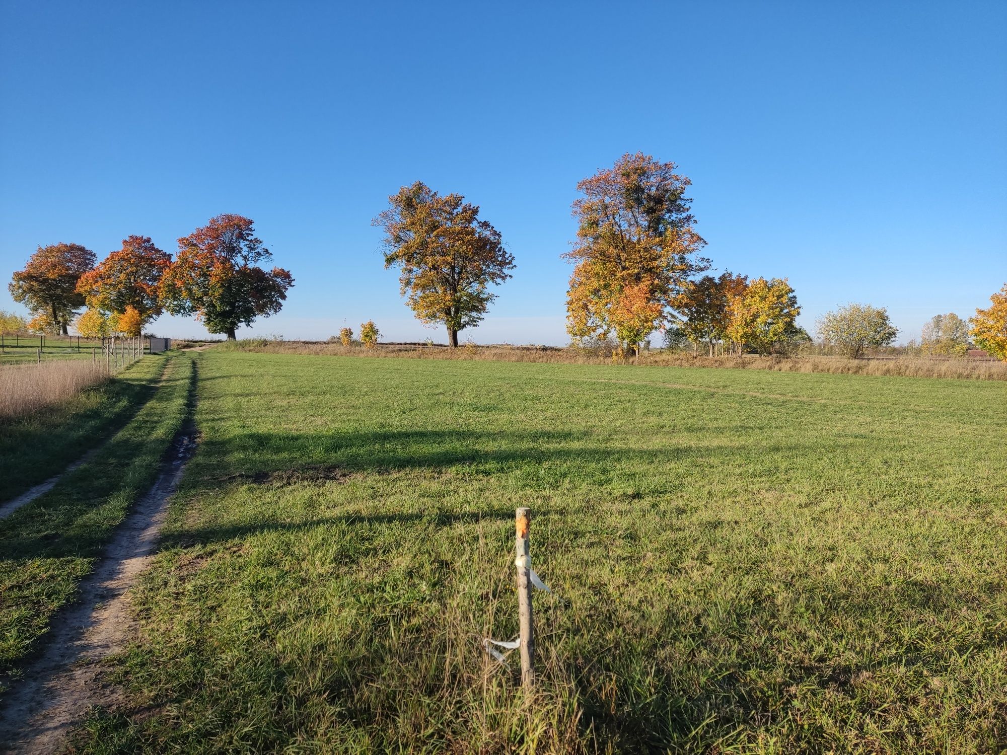 Działka rekreacyjna, Mazury, warunki zabudowy, jezioro, las,