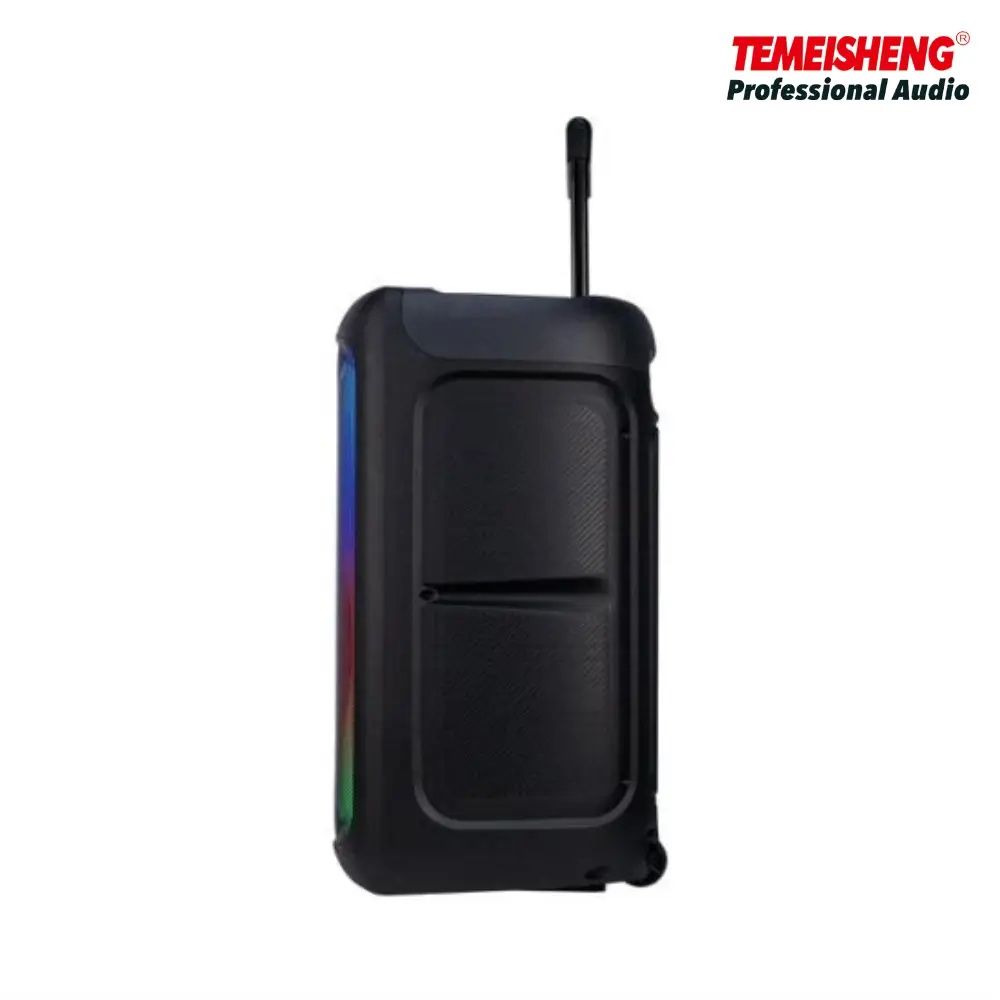 Блютуз акустика Караоке Temeisheng-12 USB/FM/Пульт ДУ/микрофон/