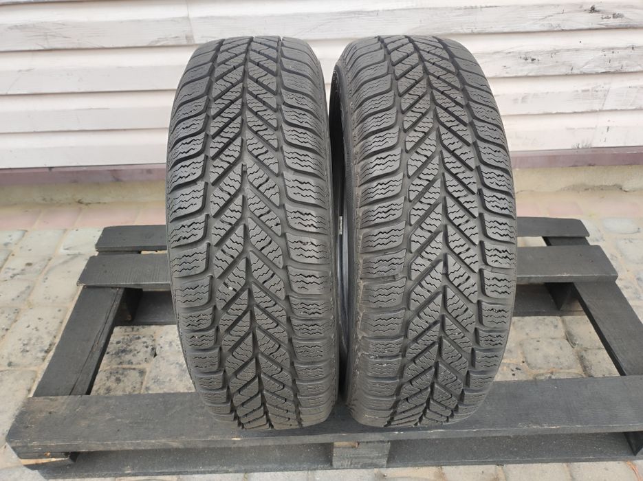 185.65.14 Dwie opony zimowe Dębica Frigo