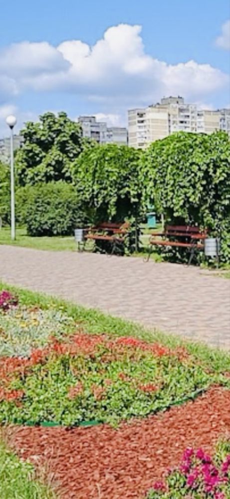 Сдам СИМПАТИЧНУЮ 1 кв. Возле Парка. Газ.