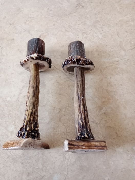 Poroże jelenia świeczki