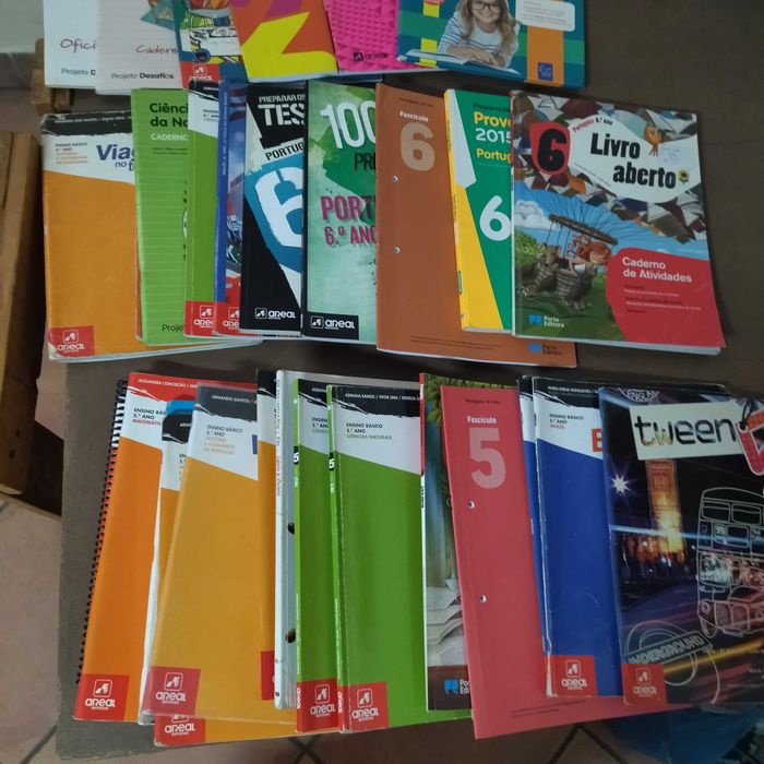 Cadernos de atividades/Livros de fichas