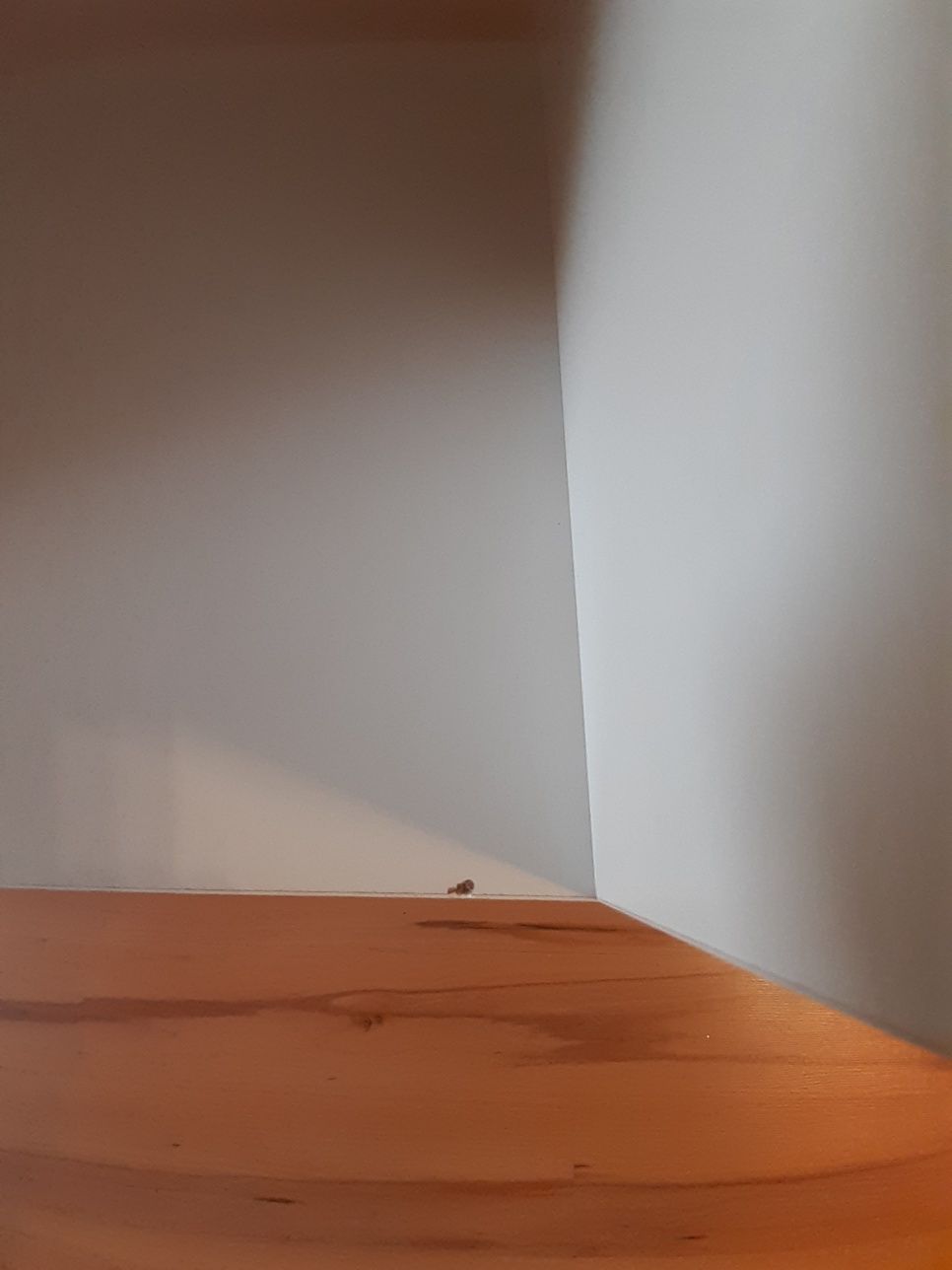 Regał 16 półek biały/dąb sonoma