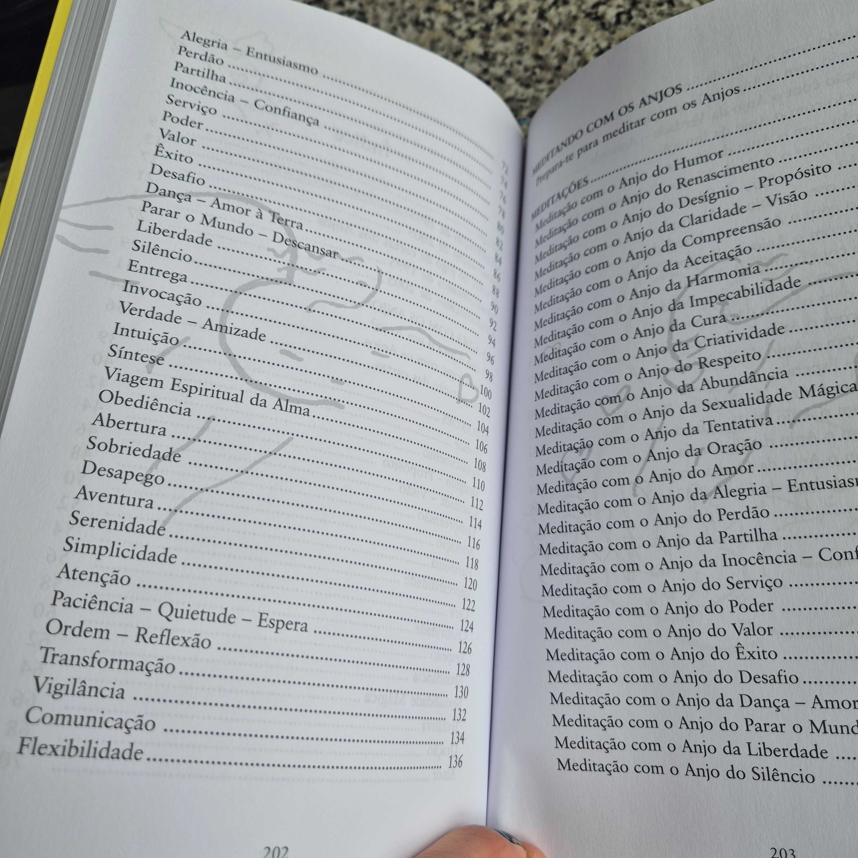 Livro" Dia-a-Dia com os Anjos" de Marta Villanueva e jogo de 50 cartas