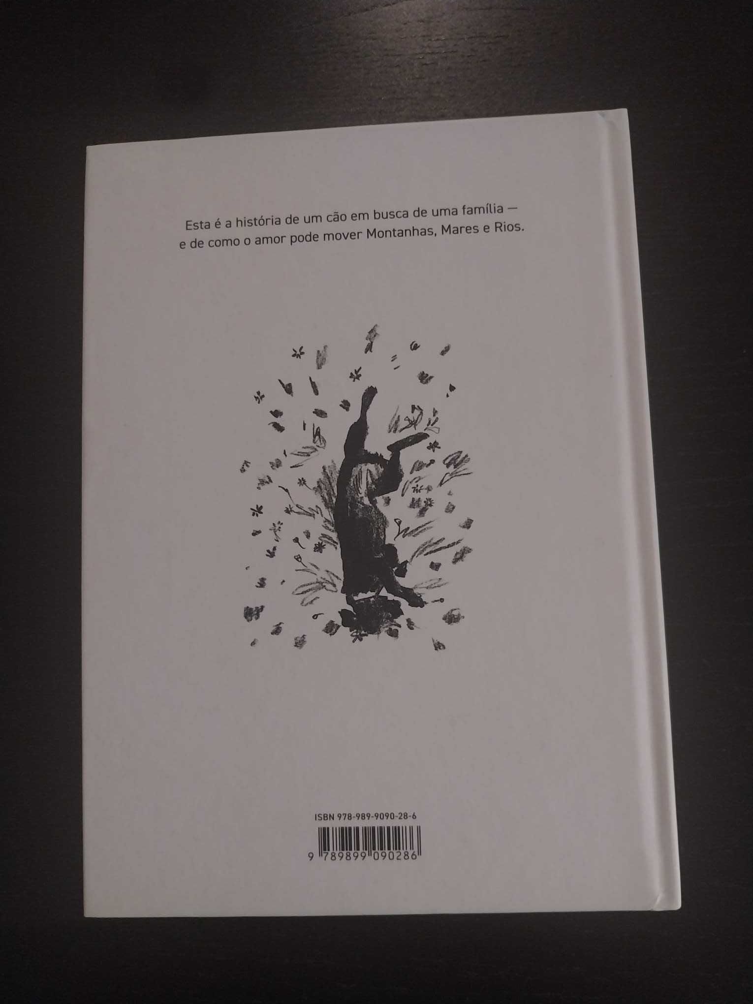 Livro infantil “Rio, o Cão Preto” – Suzy Lee
