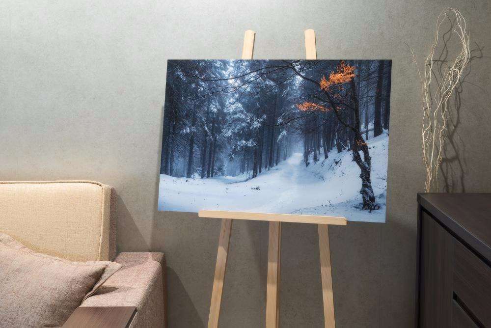 Зимний лес. Фотография для интерьера, авторская работа.