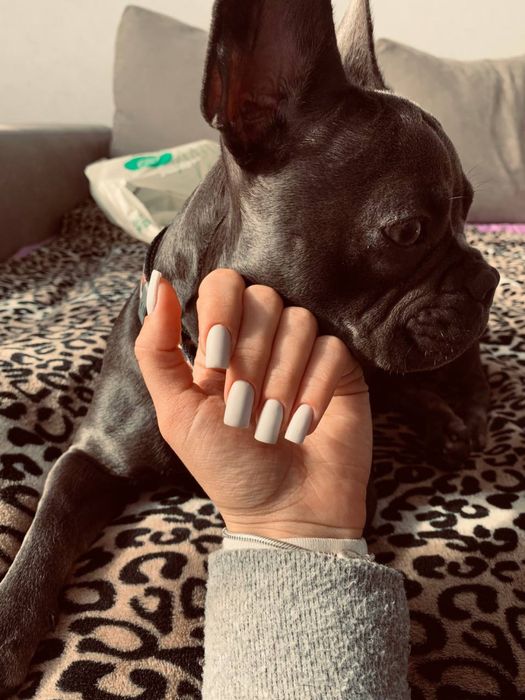 Манікюр у Чабанах