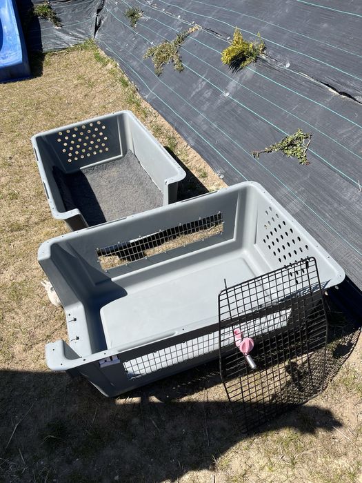 Sky kennel giant petmate dla duzego psa drybed