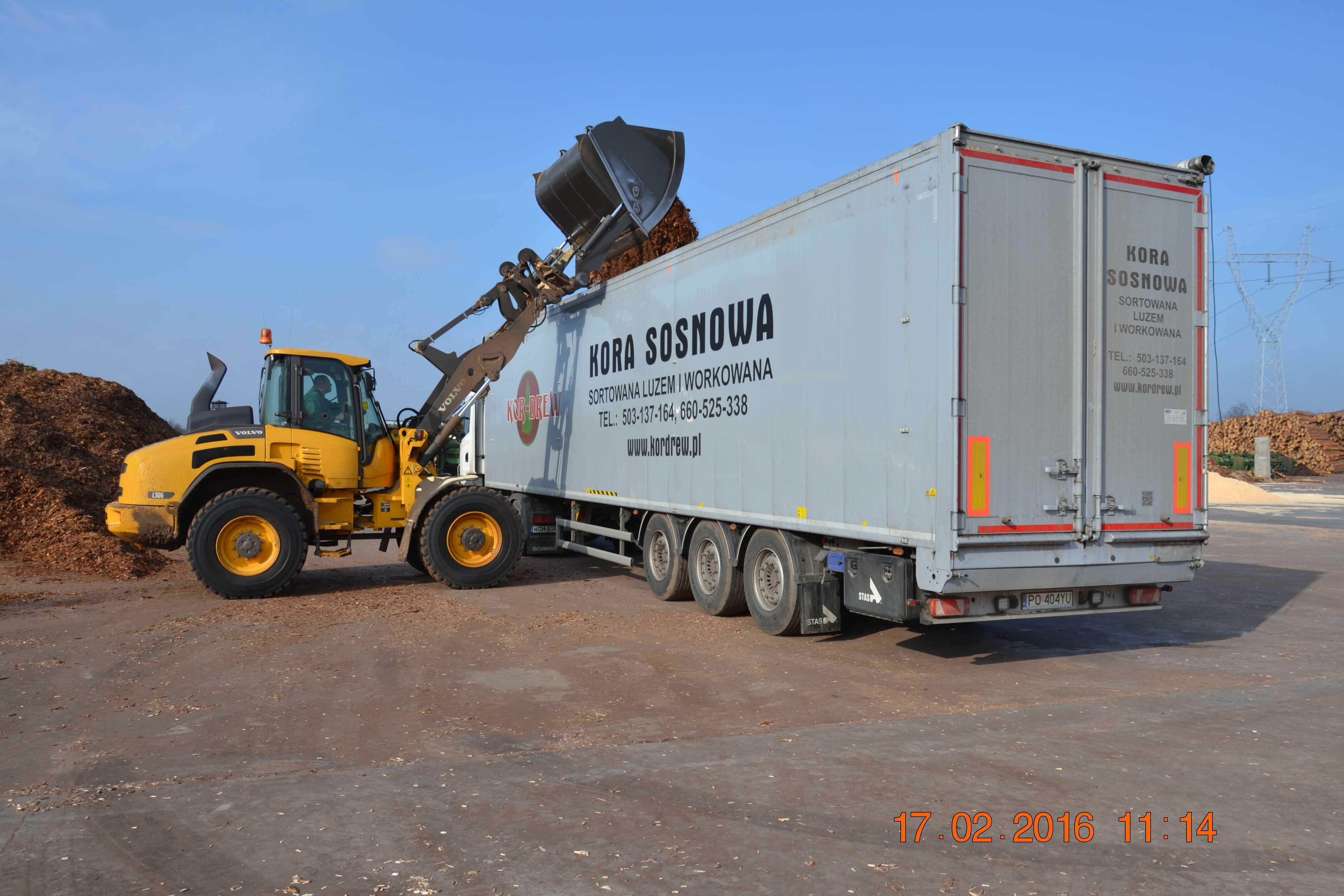 Kor-Drew Kora sosnowa luzem  z dostawa na terenie kraju min. 95mp