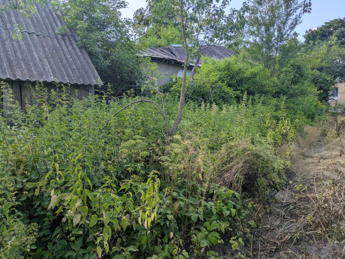 Продам будинок та земельну ділянку
