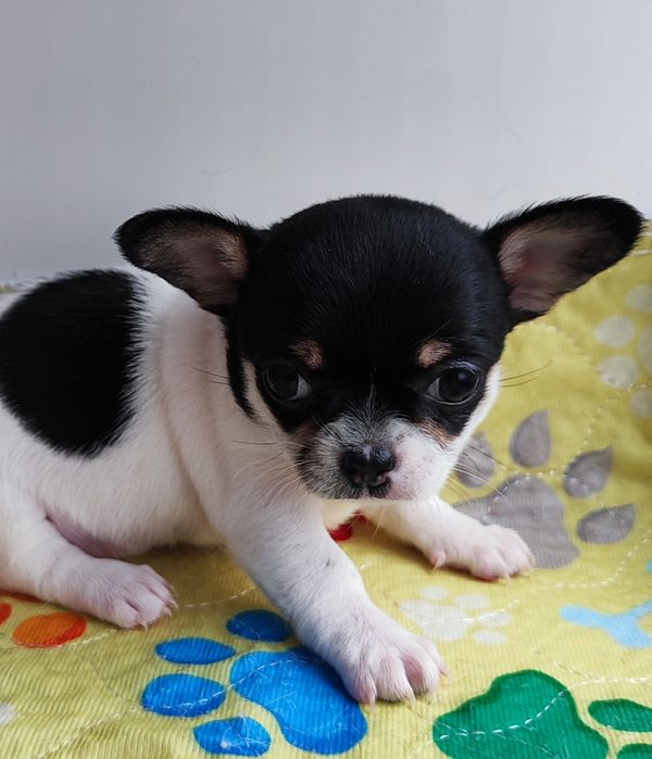 Кукляшная девочка