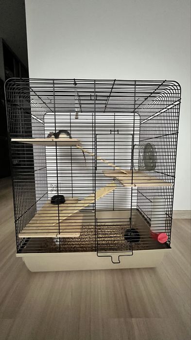 Szpszedam dwóch szczurów oraz klatkę