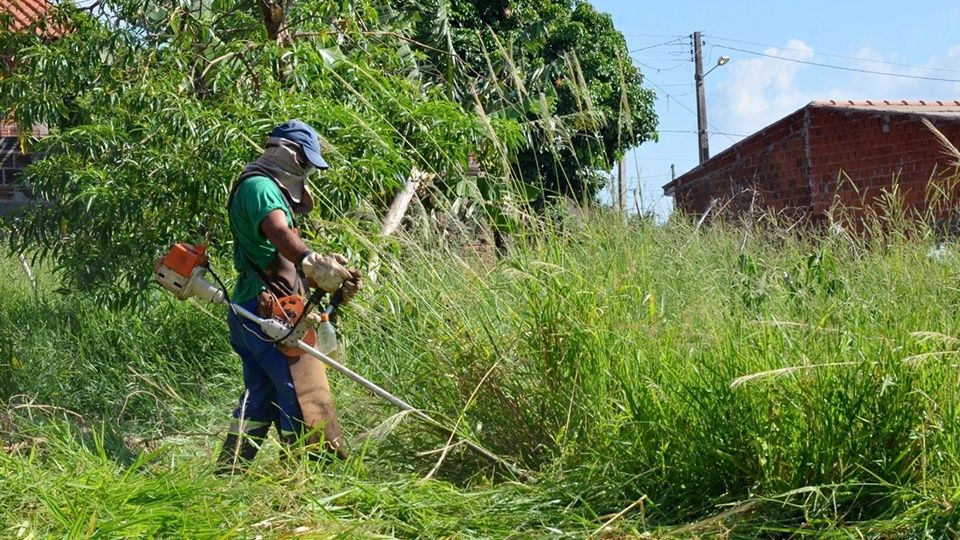 Limpeza de terrenos