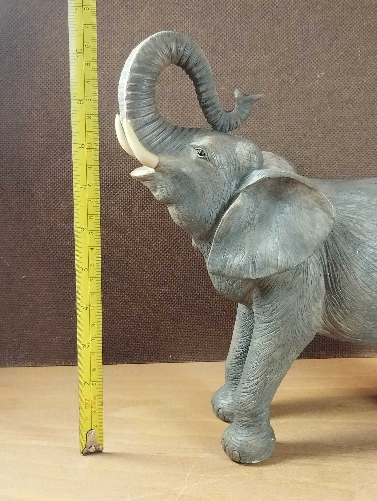 Elefante com Grande Detalhe