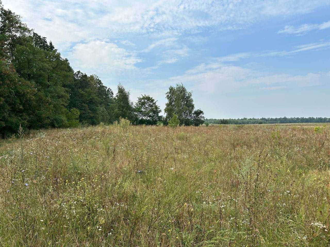 Продам земельну ділянку в с. Озера, Київська область, вул Шевченка