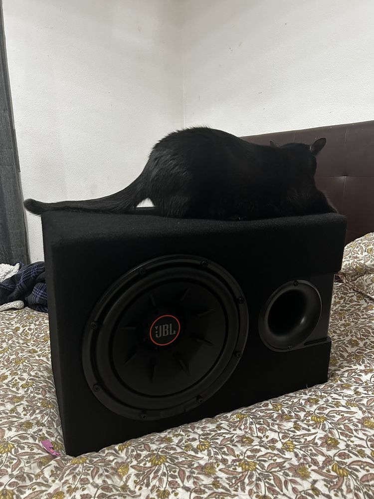 Subwoofer auto JBL S2-1224SS