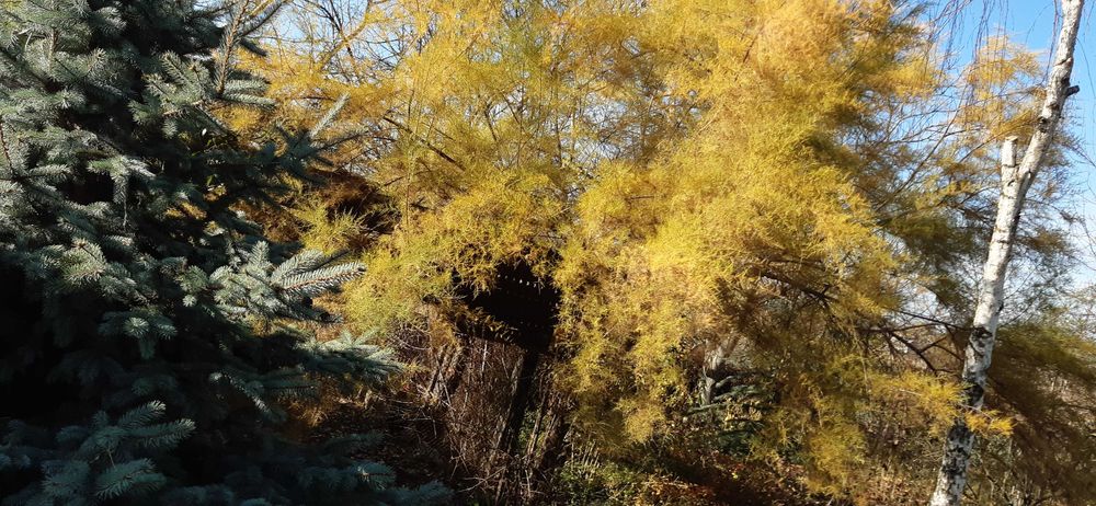 продаєм будинок із жилою літнєю кухнею