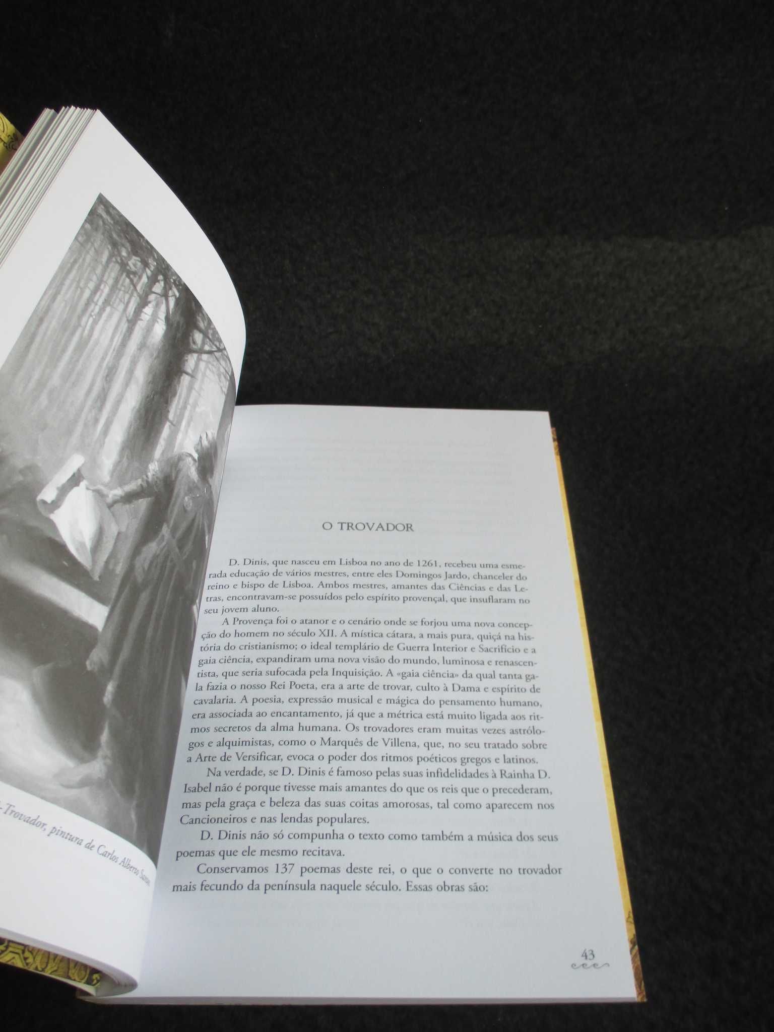 Livro Dinis O Rei Civilizador