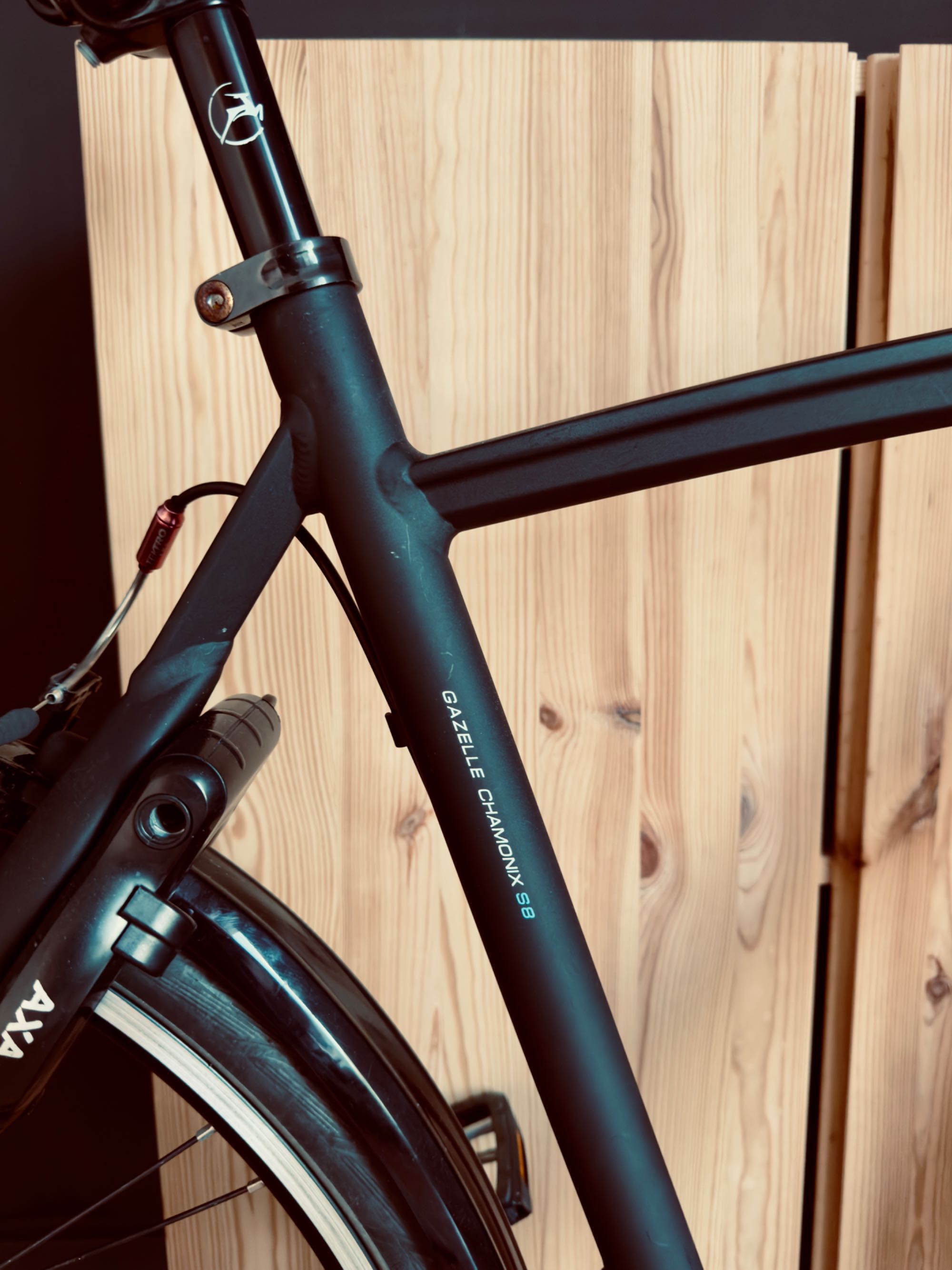 Gazelle Chamonix S8 (rozm. M] pasek klinowy, super stan, mały przebieg