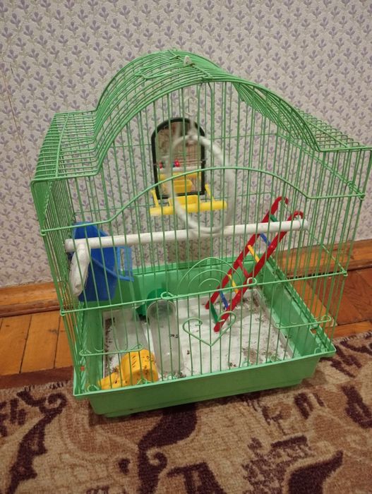 Клетка для попугаев
