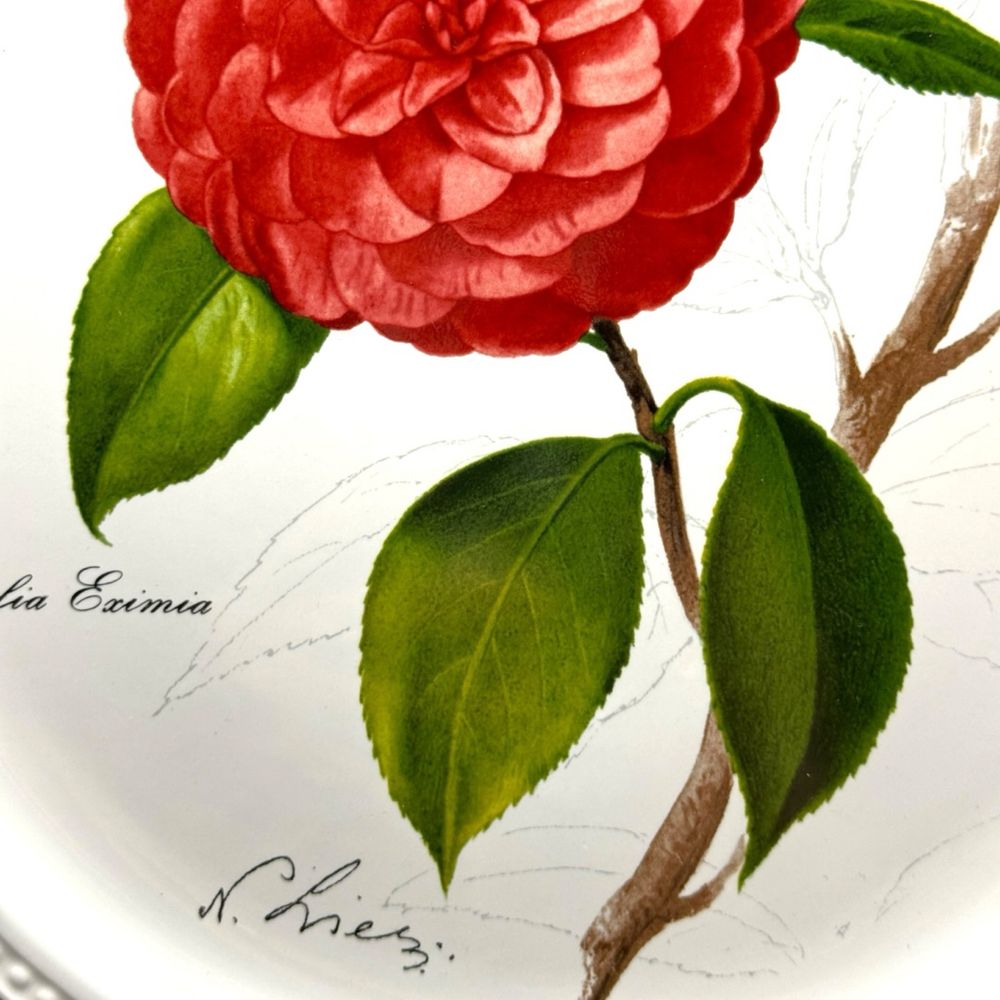 Villeroy & Boch talerz Camellia eximia Kamelia botanica B41521