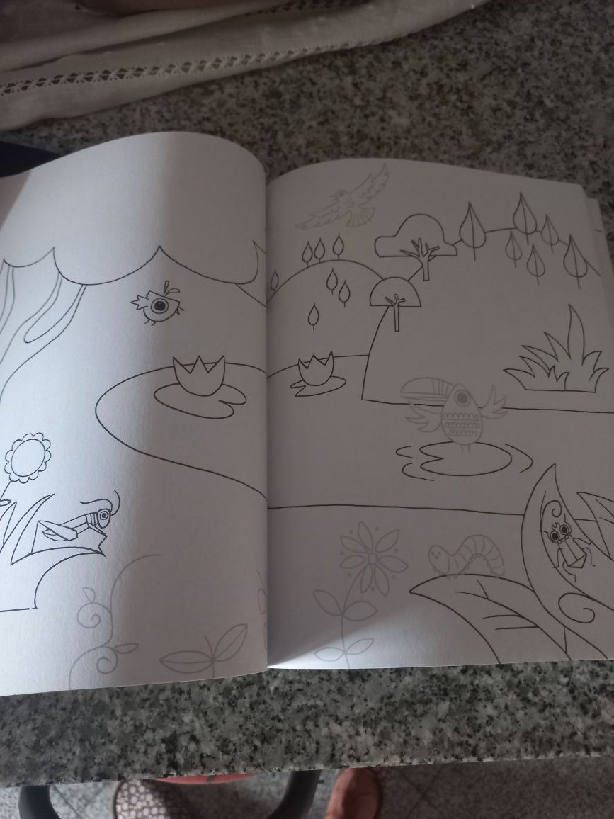 Livro para colorir