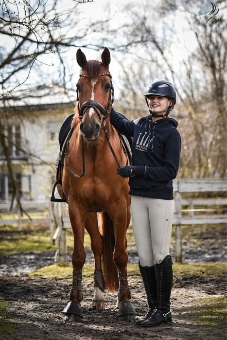 Koń Profesor ,Omen,