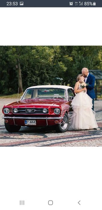 Auto/ Samochód/Klasyk do ślubu.  Ford Mustang 1966r.