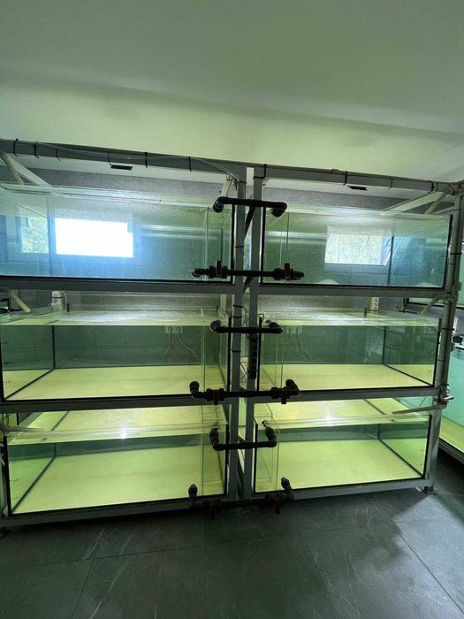 Продам Акваріумне господарство. Акваріуми. 7 тон