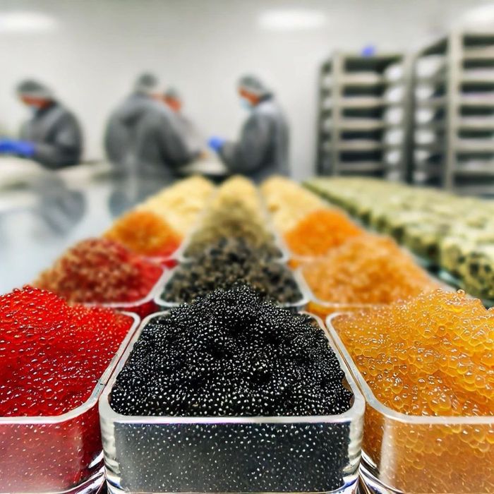 Еко-ікра преміум якості. Ікряний продукт. Лососева штучна ікра. Кета