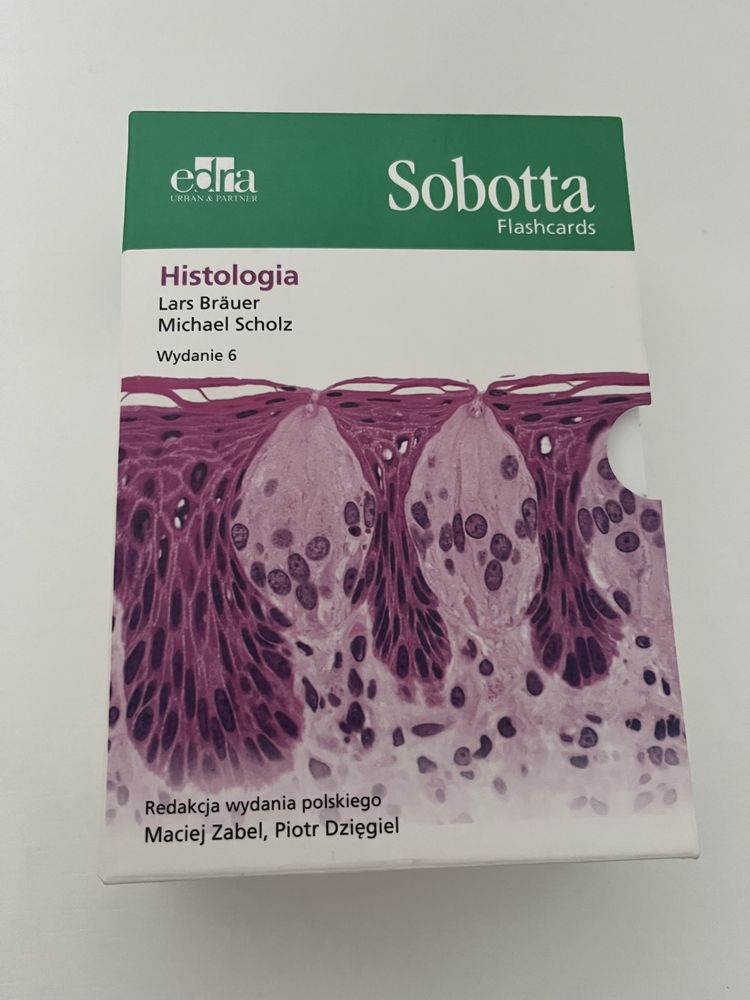 Fiszki histologia Sobotta